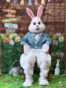 Easter Bunny for hire