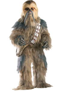 Chewbacca kids costume rental california